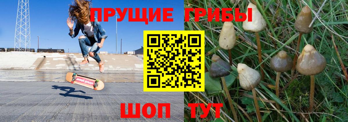 КОКАИН  Оренбург  ЭКСТАЗИ  Гашиш  Лсд 25  Меф кристаллы  A PVP СК кристаллы  Канабис  Вход с VPN 